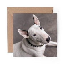 1 x Blank Greeting Card
