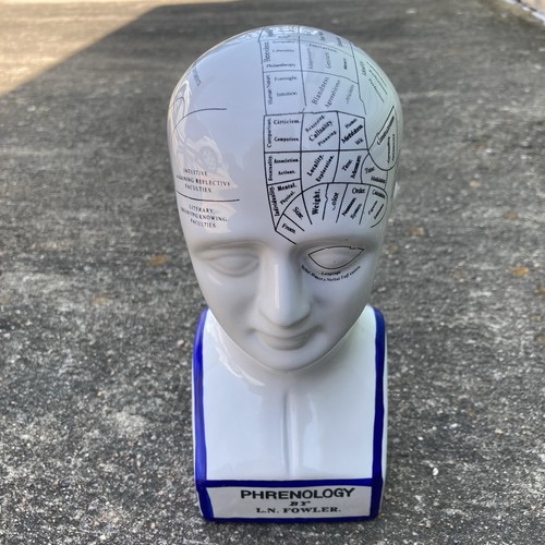 Phrenology head bust n - phrenology,