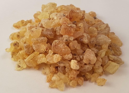 Gum copal - gum, lumps