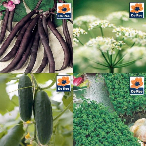 Vegetable seeds leeks pea - vegetable,