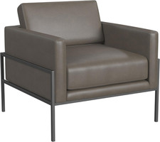 Modern Metal Frame Accent