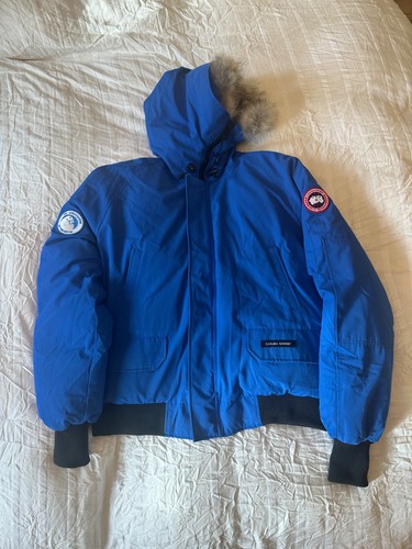 Canada goose expedition - goose,