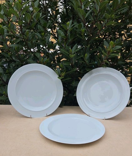 Denby white dinner plates - 3,