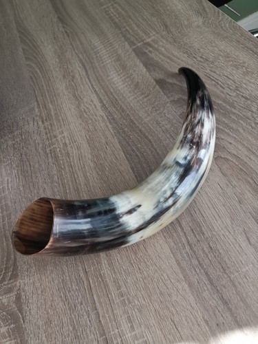 Hand crafted polished rams - hand,