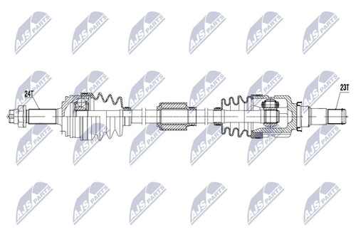 Nty npw 171 - npw-ty-171, for