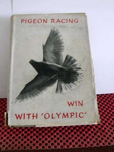 Vintage 1955 pigeon racing - pigeon,