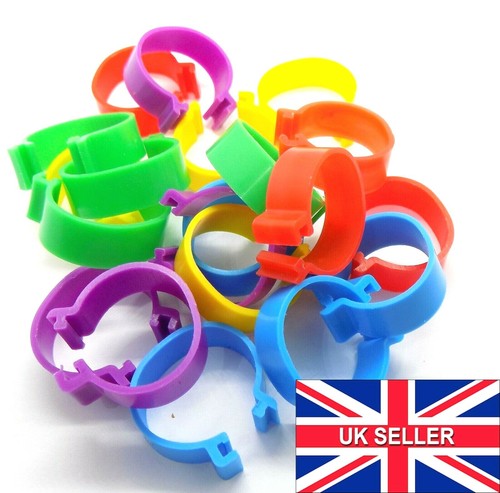 Large 20mm birds rings - 20mm,