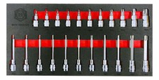 Britool Hallmark M2BTXSET22 22 Piece 3/8" Drive Torx Bit Socket Set in Foam Tray