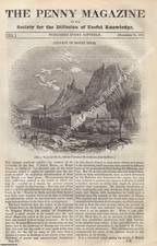 HOPS (PERENNIAL-ROOTED PLANT) : CONVENT OF MOUNT SINAI : THE CLOSE OF AUTUMN. IS