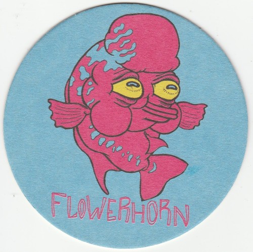 Beer mat flowerhorn - beer,
