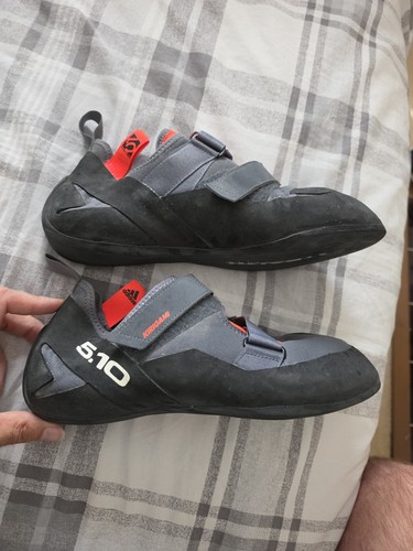 Biriani climbing - biriani,