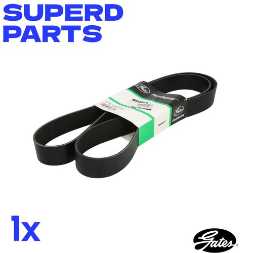 Ribbed belt 12pk1930ahd for - v-ribbed,