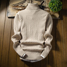 Roll Turtle Neck Jumper Pullover Slim Top Winter Mens Warm Knitted Sweater Polo