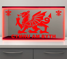 Truck LED Mirror Sign 60x30cm