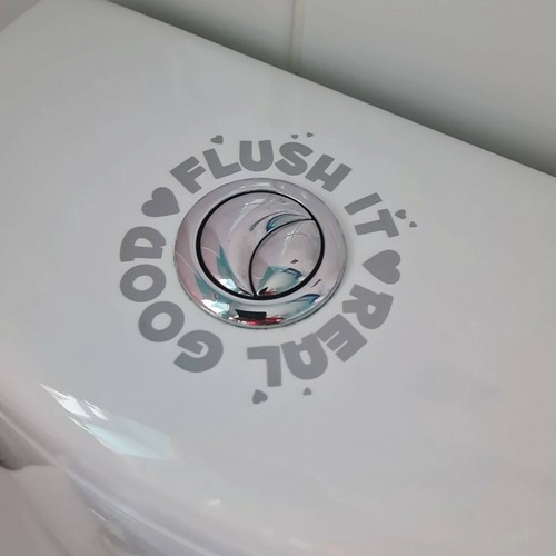 Flush real good toilet - flush,