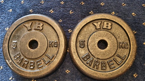 5kg weight plates 2 - 5kg,