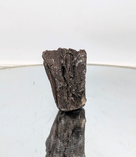 Fossil wood quartz - wood,