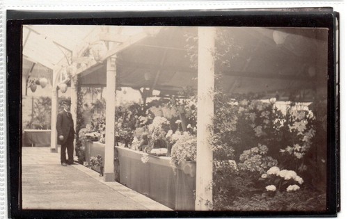 Postcard size photograph - postcard-size, of