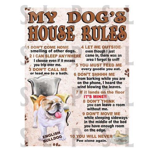 Dog house rules english - my,