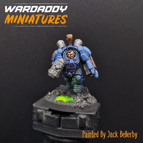 Pro painted warhammer - pro,