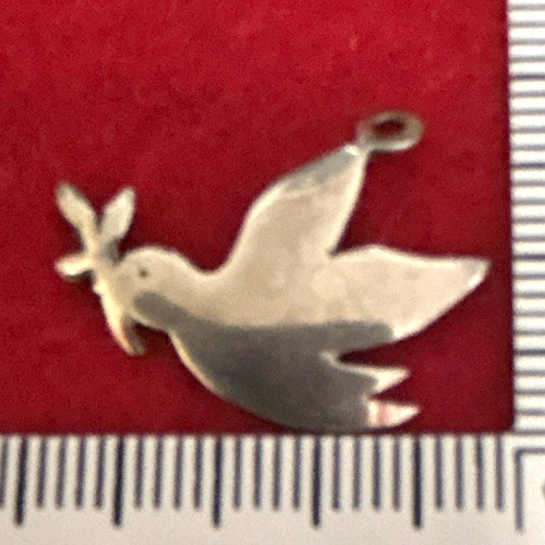 Possible silver bird - possible, dove