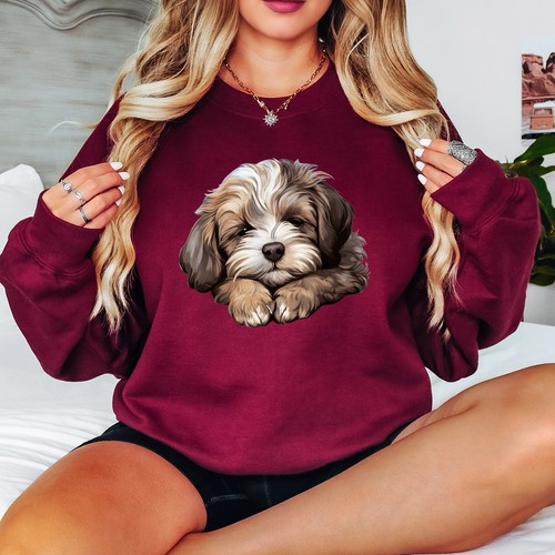 Shih tzu puppy - puppy, animals