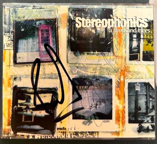 Stereophonics a thousand - -,