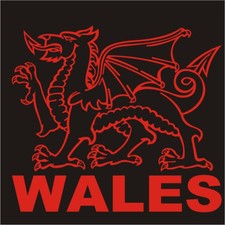 2 x Welsh Dragon Decal Sticker - Car Lorry Van Bike Narrowboat Yacht Home Bus 