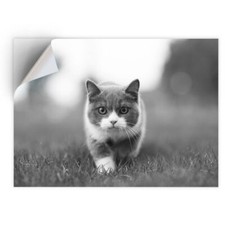 1 x Vinyl Sticker A4 - BW -