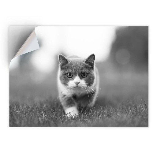 Vinyl sticker bw - vinyl,