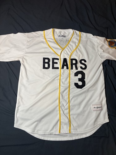 Bad news bears baseball - bad,