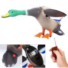 Outdoors Flying Mallard Drake