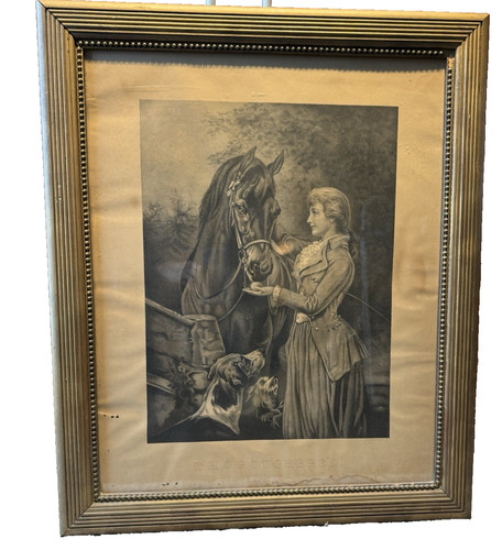Heywood hardy thoroughbred - heywood,