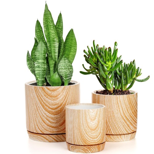 Dicunoy set ceramic - dicunoy, of