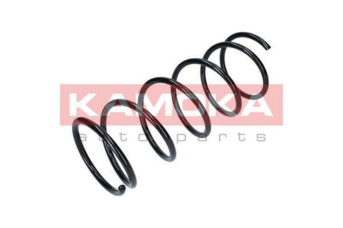 Coil spring for - spring,