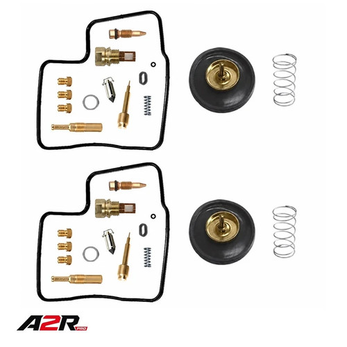 Carburetor repair kit - kit, pump