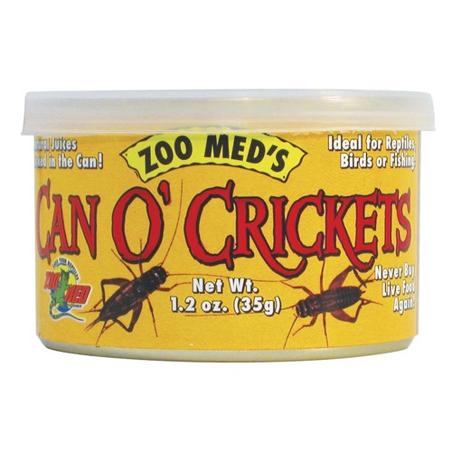 Reptile food crickets zoo - reptile,