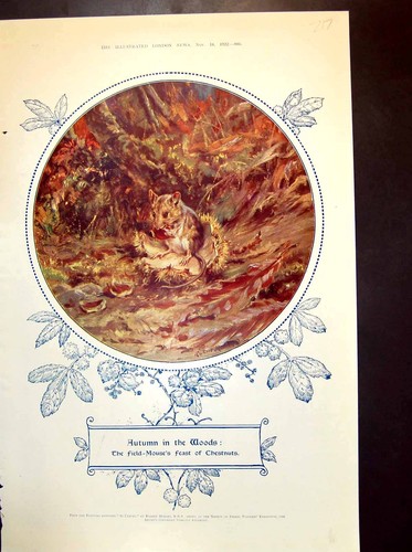 Old vintage print autumn - vintage,