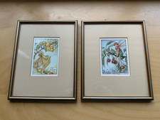 Vintage Flower Fairy Book