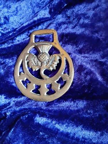 Vintage scottish thistle horse - scottish,