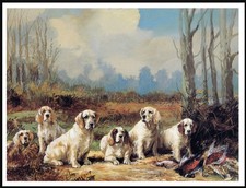 CLUMBER SPANIEL DOGS VINTAGE