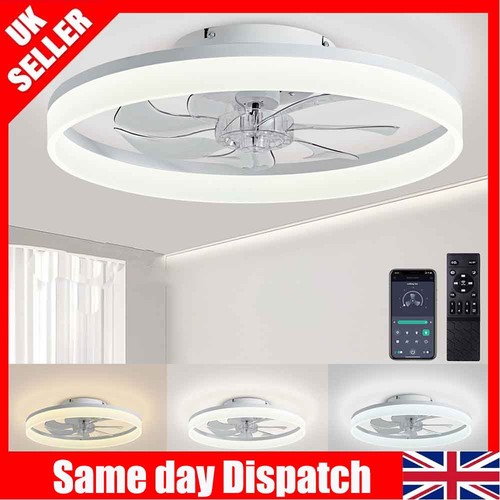 Speed modern ceiling fan - modern,