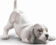 Brand New - Playful Puppy