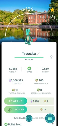 Pokémon shiny treecko special - treecko,