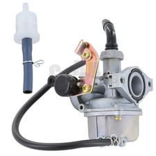 PZ19 Carburetor for Chinese