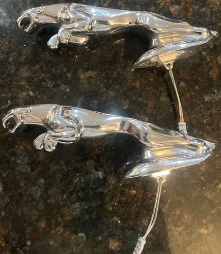 Jaguar xj8 xj6 hood - , ornament