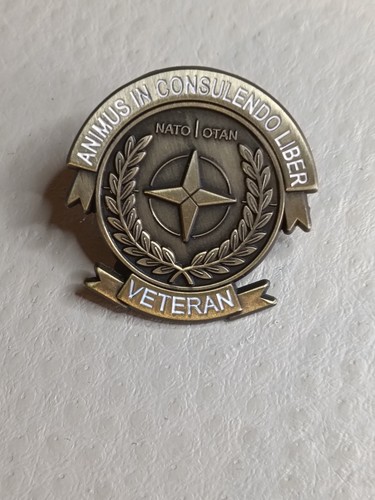 Military nato veteran pin - military,