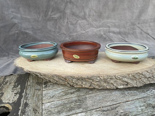 Small oval ceramic - small, bonsai