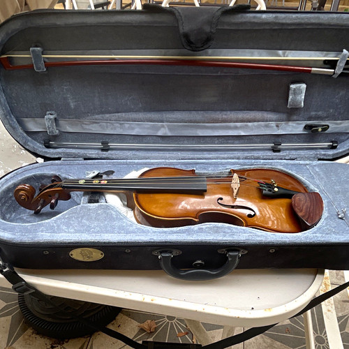 Stentor inch acoustic viola - 13,