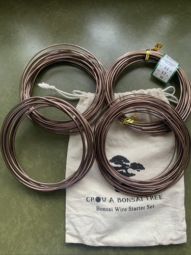 Bonsai wire set different - 4,